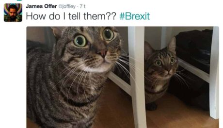 Her er de 23 raffeste reaksjonene på Brexit-sjokket