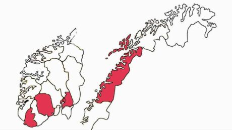 Aps «vippestater»: Dette er de lokale sakene som kan sparke bein på Støre