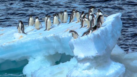 Norge er på klimafornekter-toppen: Ti prosent av oss tror ikke på menneskeskapte klimaendinger