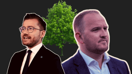 Filter lyd: Regjeringen hevder Frps skogforslag vil bryte Parisavtalen – Feil, sier jussekspert
