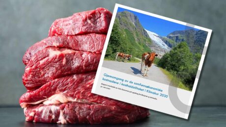 Matprat bestilte «motrapport» etter regjeringens Klimakur - argumenterer mot helsemyndighetene