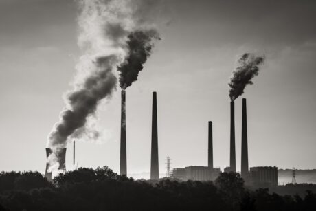 Filter lanserer tidenes minst lystige nyhetsbrev