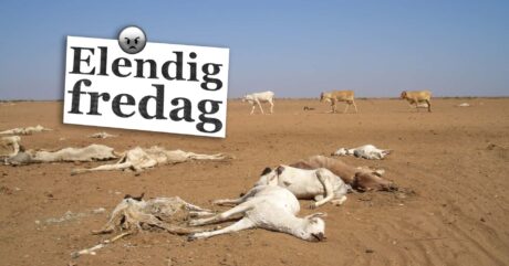 Elendig fredag (abo) – COP26: «Planetens siste sjanse»