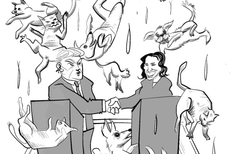 Kommentar: Trumps bikkjer i Norge