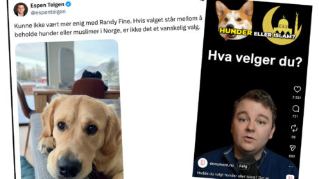 Document-Teigen anklages for nytt lavmål etter muslimer-mot-hunder-tweet